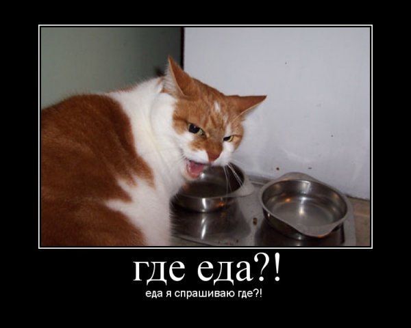 �����